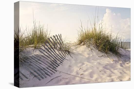 Peaceful Morning in the Beach Sand Dunes-forestpath-Premier Image Canvas