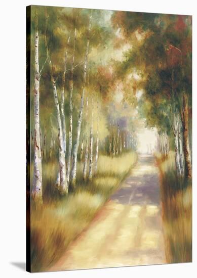Peaceful Passage-Marc Lucien-Stretched Canvas