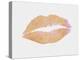 Peach and Gold Lips-Natasha Wescoat-Premier Image Canvas