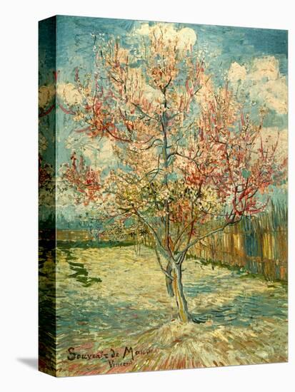 Peach Blossoming (Souvenir De Mauve)-null-Premier Image Canvas