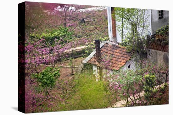 Peach Blossoms, Chinese Roofs, Village, Chengdu, Sichuan, China-William Perry-Premier Image Canvas