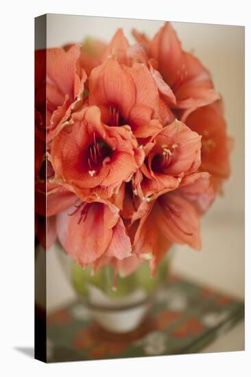 Peach Bouquet-Karyn Millet-Premier Image Canvas