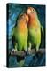 Peach-Faced Lovebirds Hybrid-Andrey Zvoznikov-Premier Image Canvas