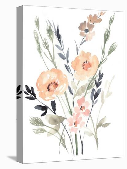 Peach & Paynes Bouquet II-Jennifer Goldberger-Stretched Canvas