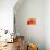 Peach Rose-David Papazian-Premier Image Canvas displayed on a wall