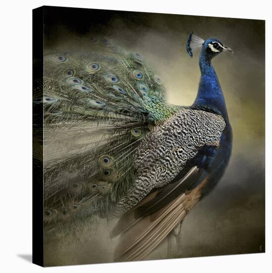 Peacock 5-Jai Johnson-Premier Image Canvas