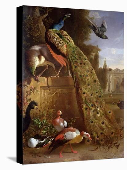 Peacock and a Peahen on a Plinth, with Ducks and Other Birds in a Park-Melchior de Hondecoeter-Premier Image Canvas