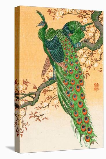 Peacock and Peahen on Branch-Koson Ohara-Premier Image Canvas