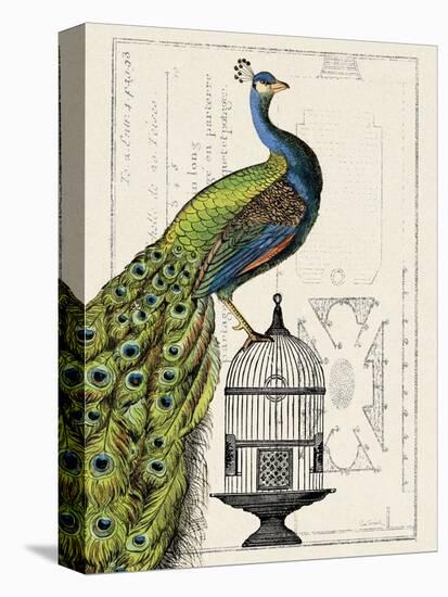 Peacock Birdcage I-Hugo Wild-Stretched Canvas