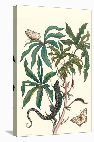 Peacock Butterfly with a Lizard-Maria Sibylla Merian-Stretched Canvas