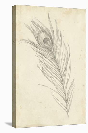 Peacock Feather Sketch I-Ethan Harper-Stretched Canvas