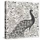 Peacock Garden IV BW-Miranda Thomas-Stretched Canvas