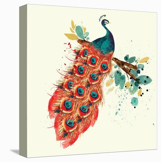 Peacock I-Sara Berrenson-Stretched Canvas