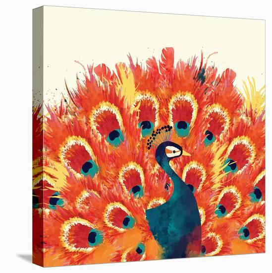 Peacock II-Sara Berrenson-Stretched Canvas