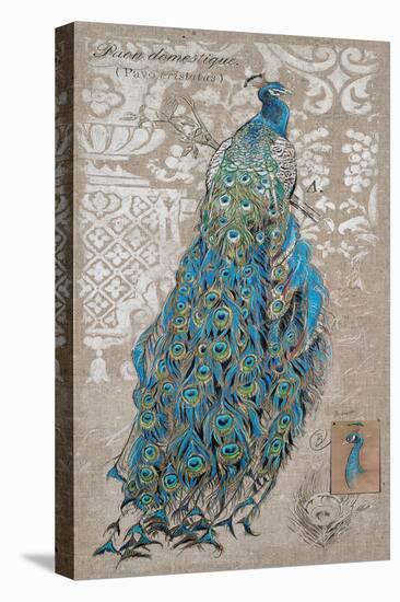 Peacock on Linen 1-Chad Barrett-Stretched Canvas