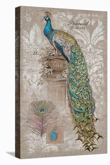 Peacock on Linen 2-Chad Barrett-Stretched Canvas