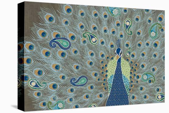 Peacock Paradise V-Veronique Charron-Stretched Canvas