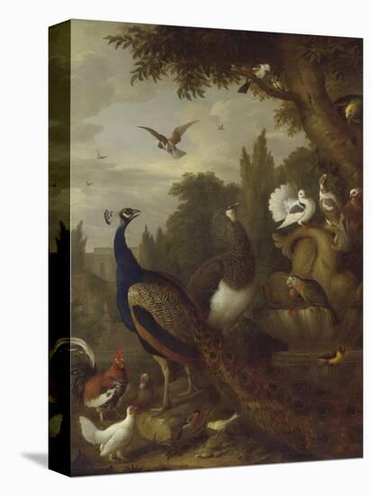 Peacock, Peahen, Parrots, Canary, and Other Birds in a Park, C.1708-10-Jakob Bogdani-Premier Image Canvas