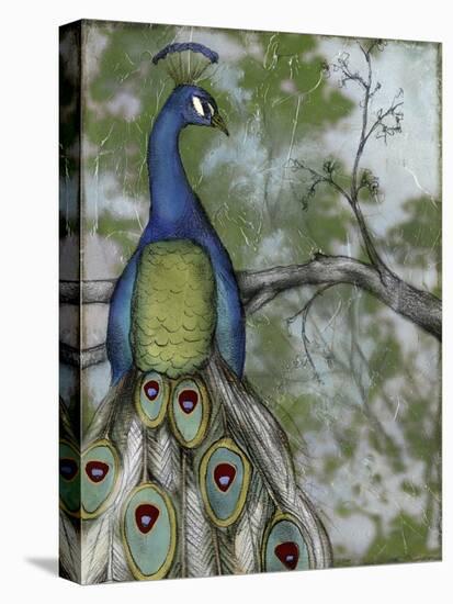 Peacock Reflections II-Jennifer Goldberger-Stretched Canvas