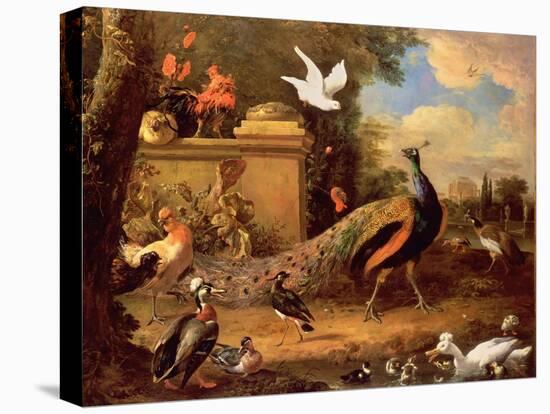 Peacocks and Other Birds by a Lake-Melchior de Hondecoeter-Premier Image Canvas