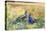 Peacocks in a Field-Mildred Anne Butler-Premier Image Canvas