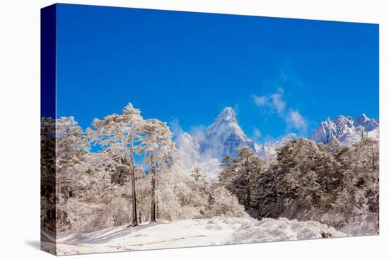 Peak of Mount Everest with snow covered forest, Himalayas, Nepal, Asia-Laura Grier-Premier Image Canvas