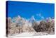 Peak of Mount Everest with snow covered forest, Himalayas, Nepal, Asia-Laura Grier-Premier Image Canvas