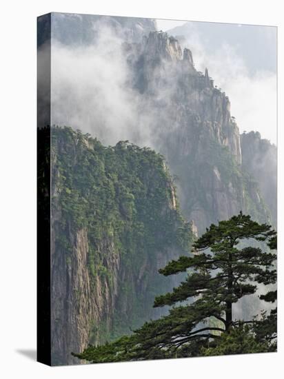 Peaks and Valleys of Grand Canyon in West Sea, Mt. Huang Shan, China-Adam Jones-Premier Image Canvas