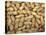 Peanuts in Shell, Washington, USA-Jamie & Judy Wild-Premier Image Canvas