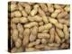 Peanuts in Shell, Washington, USA-Jamie & Judy Wild-Premier Image Canvas