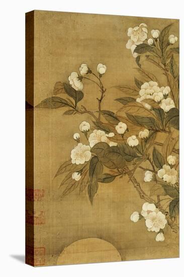 Pear Blossom and Moon-Yun Shouping-Premier Image Canvas