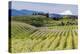 Pear Orchards Blooms with Mount Adams, Oregon, USA-Chuck Haney-Premier Image Canvas