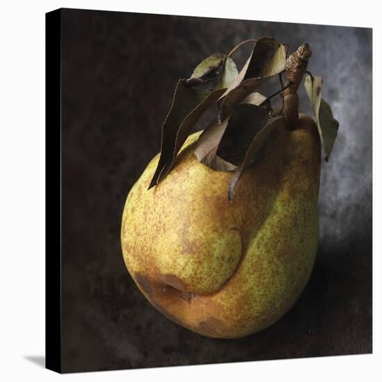 Pear Portrayal-Bill Philip-Stretched Canvas