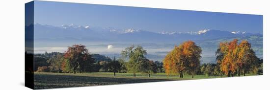 Pear Trees in the Swiss Midlands, Reusstal, Switzerland-null-Premier Image Canvas