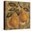 Pear-Silvia Vassileva-Stretched Canvas