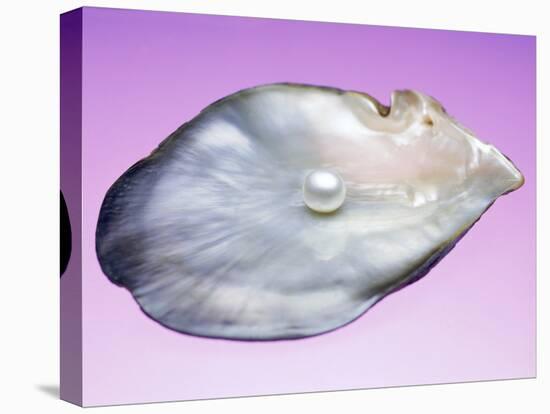 Pearl In a Shell-Lawrence Lawry-Premier Image Canvas