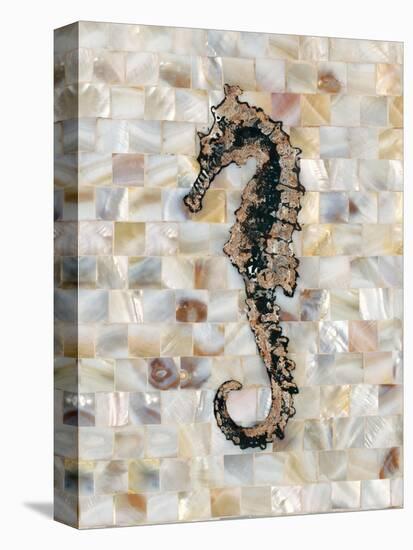 Pearlized Seahorse-Regina-Andrew Design-Stretched Canvas