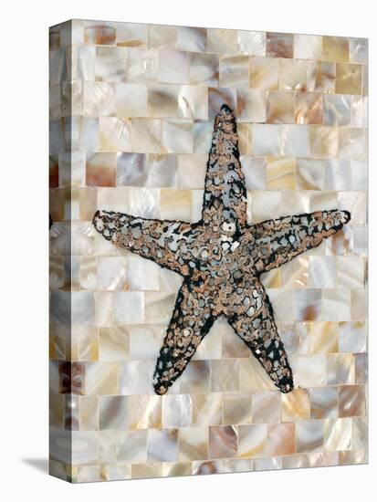 Pearlized Starfish-Regina-Andrew Design-Stretched Canvas
