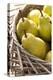 Pears, Ripe, Harvest, Basket-Nikky Maier-Premier Image Canvas