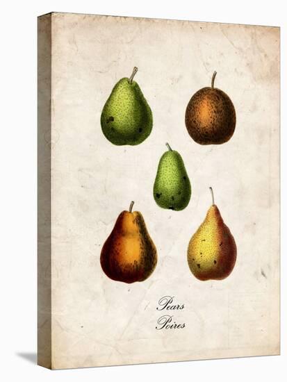 Pears-null-Stretched Canvas