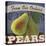 Pears-Fiona Stokes-Gilbert-Premier Image Canvas