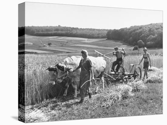 Peasant Farmers Working in Wheat Fields-null-Premier Image Canvas