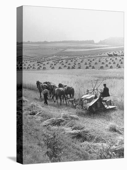 Peasant Farmers Working in Wheat Fields-null-Premier Image Canvas