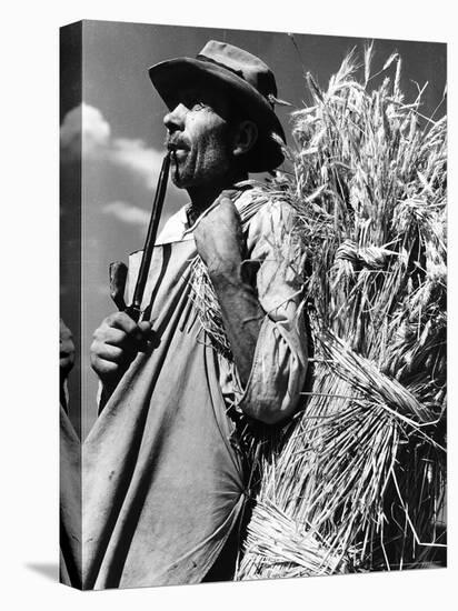 Peasant Field Worker Carrying a Bundle of Wheat-Margaret Bourke-White-Premier Image Canvas