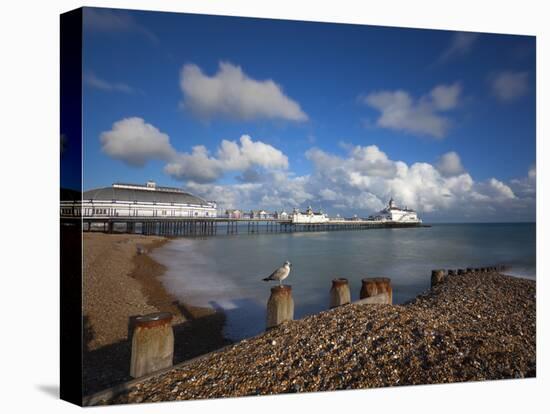 Pebble Beach and Pier, Eastbourne, East Sussex, England-Stuart Black-Premier Image Canvas