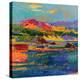 Pebble Beach towards Carmel-Peter Graham-Premier Image Canvas