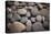 Pebble Patch I-Karyn Millet-Premier Image Canvas