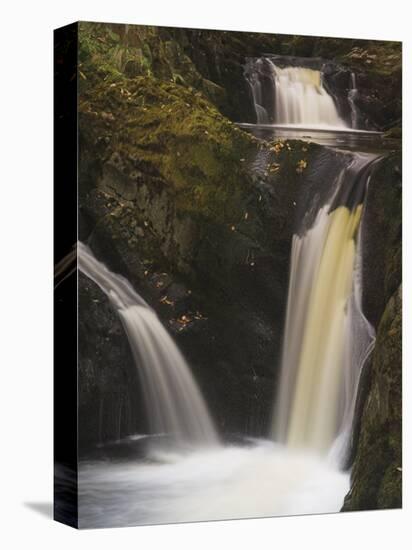 Pecca Falls, Ingleton Waterfalls Walk, Yorkshire Dales National Park, Yorkshire-Neale Clarke-Premier Image Canvas