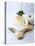 Pecorino and Brie Cheese on a Kitchen Board-Barbara Dudzinska-Premier Image Canvas