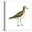 Pectoral Sandpiper (Calidris Melanotos), Birds-Encyclopaedia Britannica-Stretched Canvas